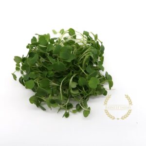 Arugula (Organic)