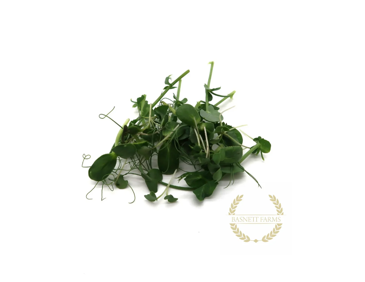 Harvested Smoothie Mix organic microgreens