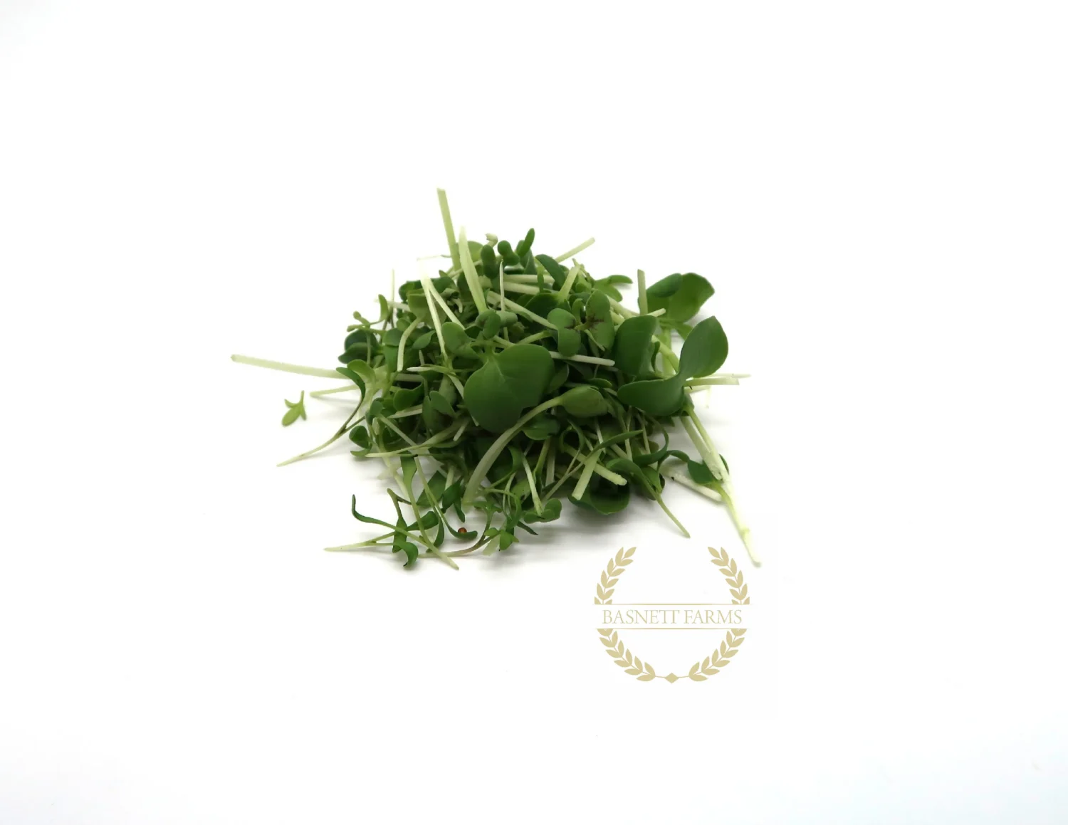 Harvested Spicy Mix organic microgreens