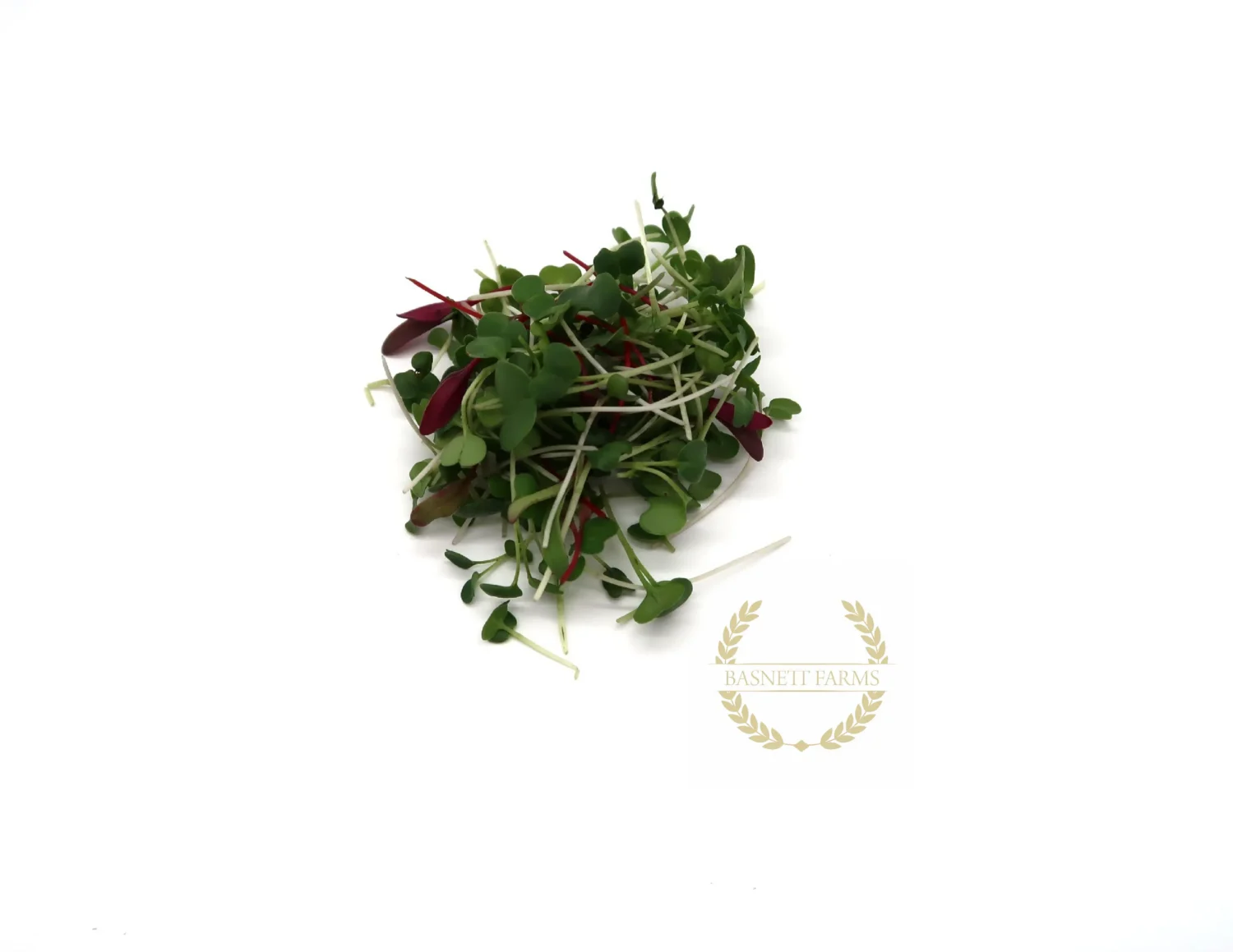 Harvested Superfood Mix organic microgreens